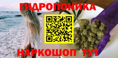 круглые Владимир