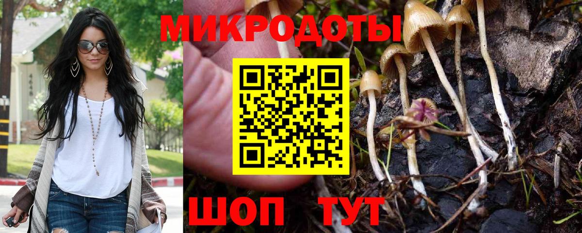Галлюциногенные грибы Magic Shrooms Кемерово